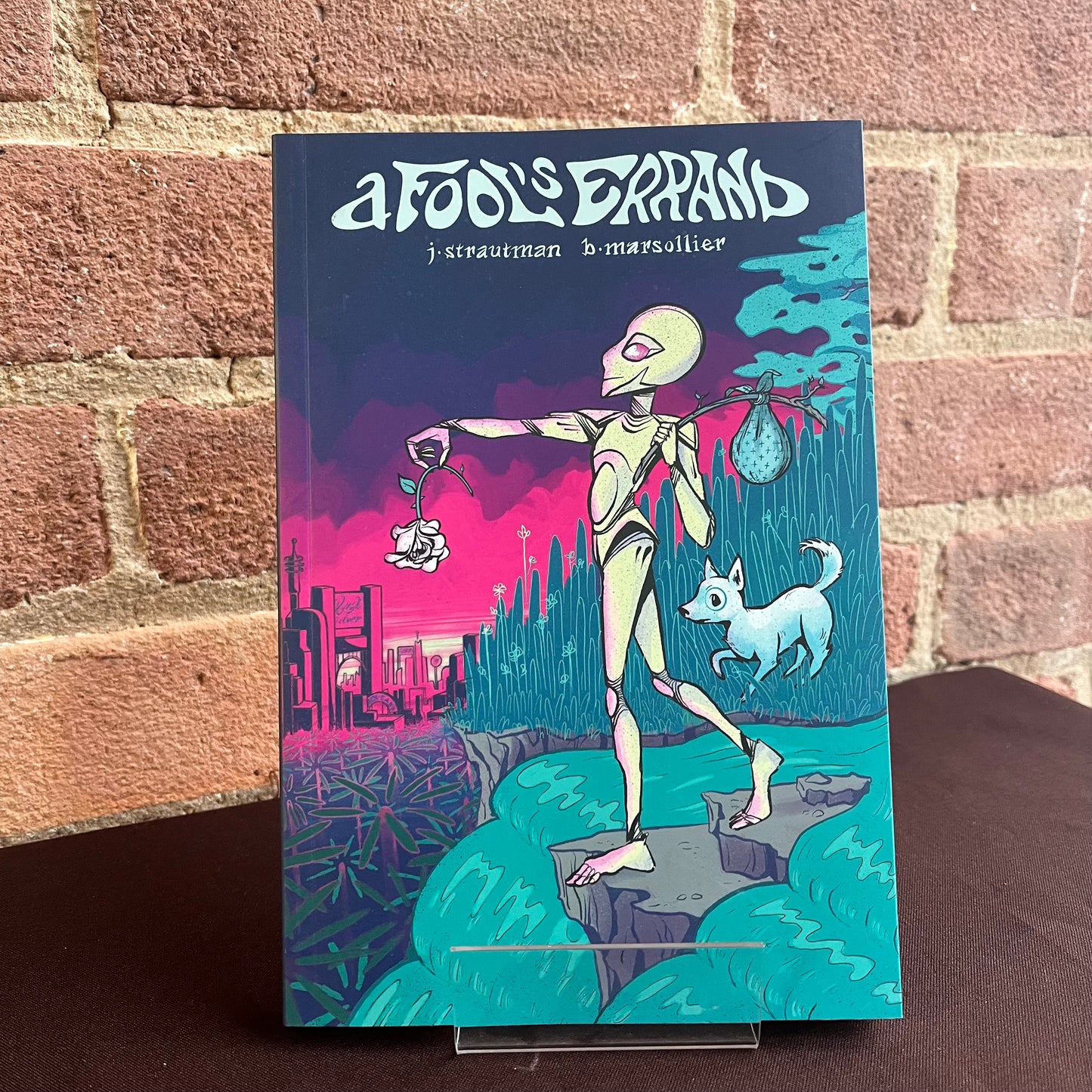 A Fool's Errand