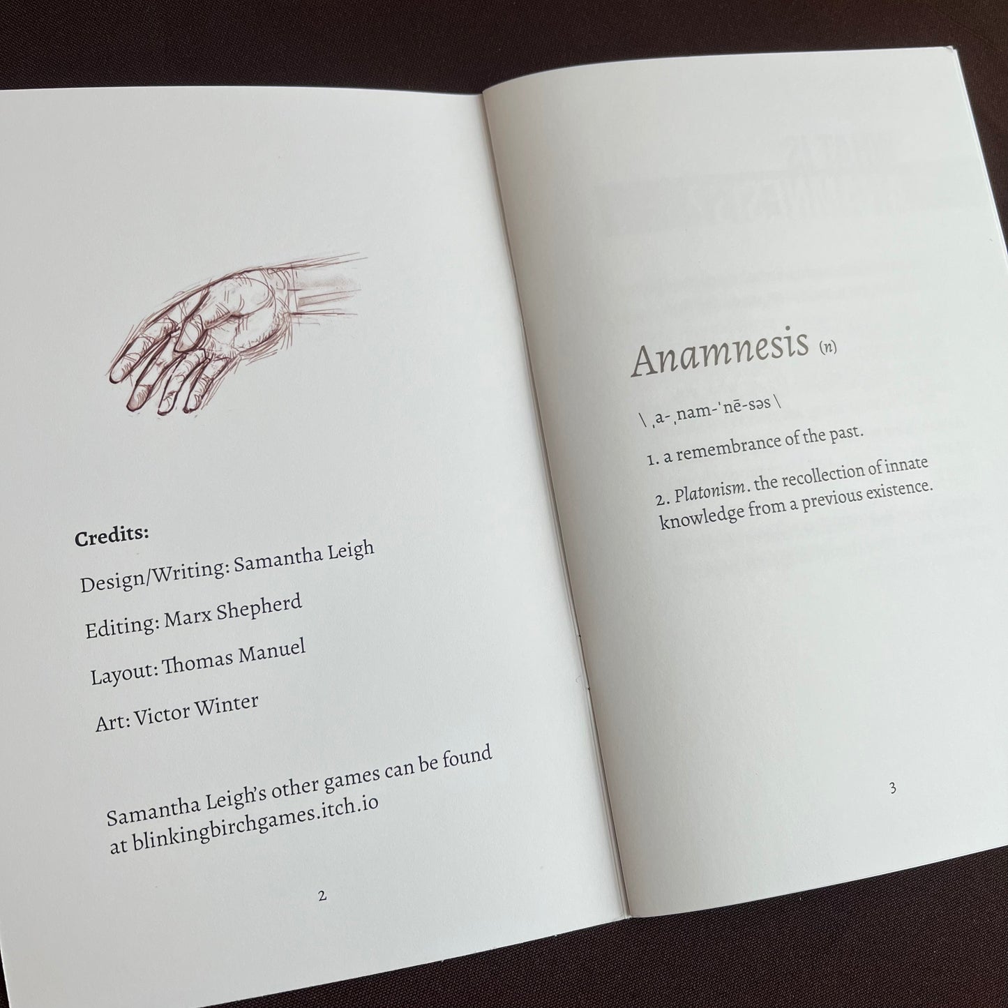 Anamnesis