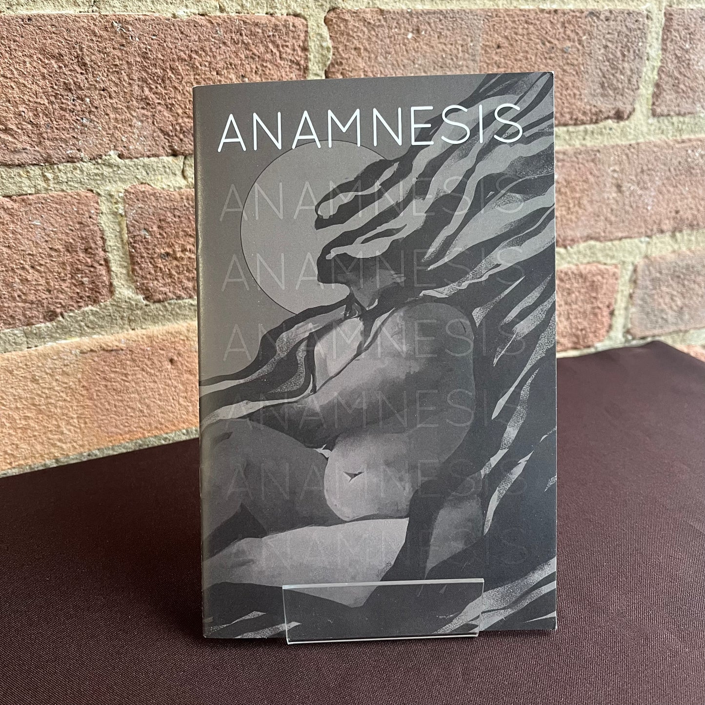 Anamnesis