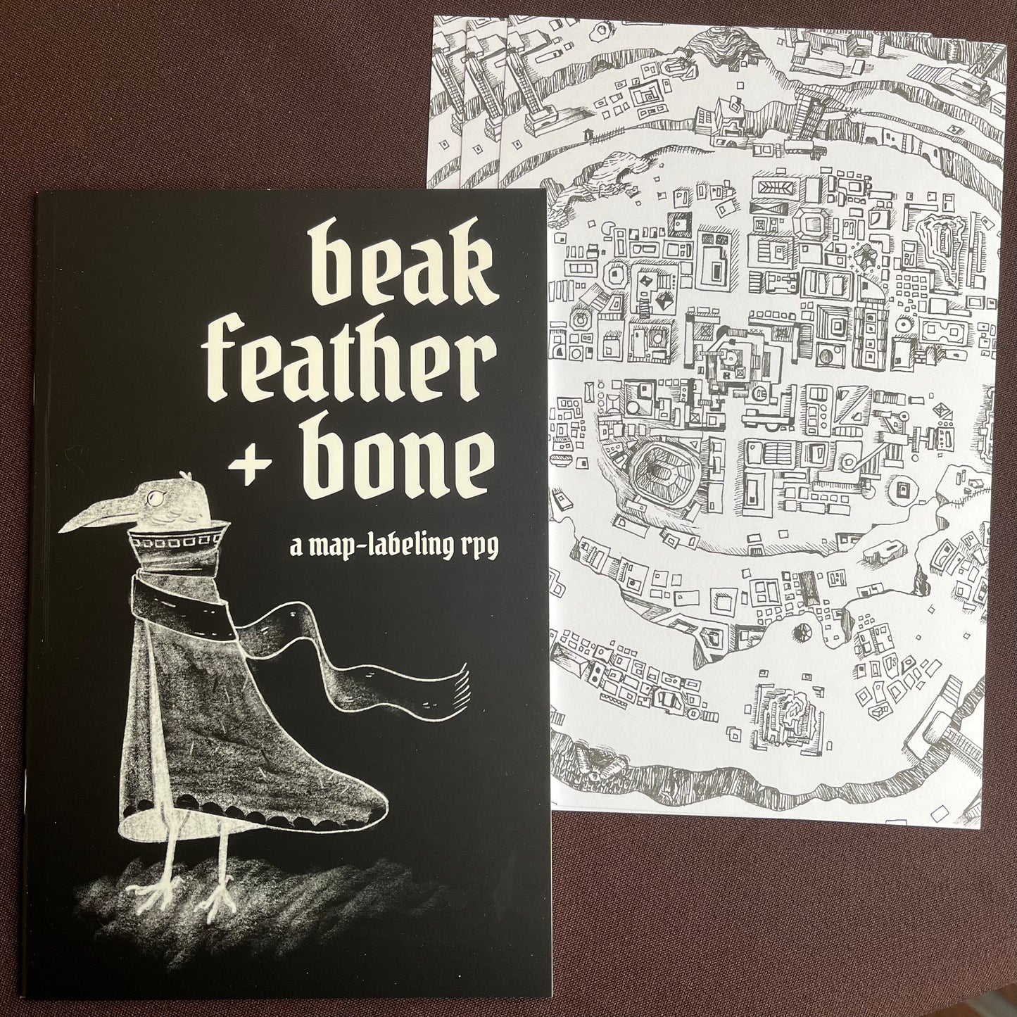 Beak, Feather, and Bone