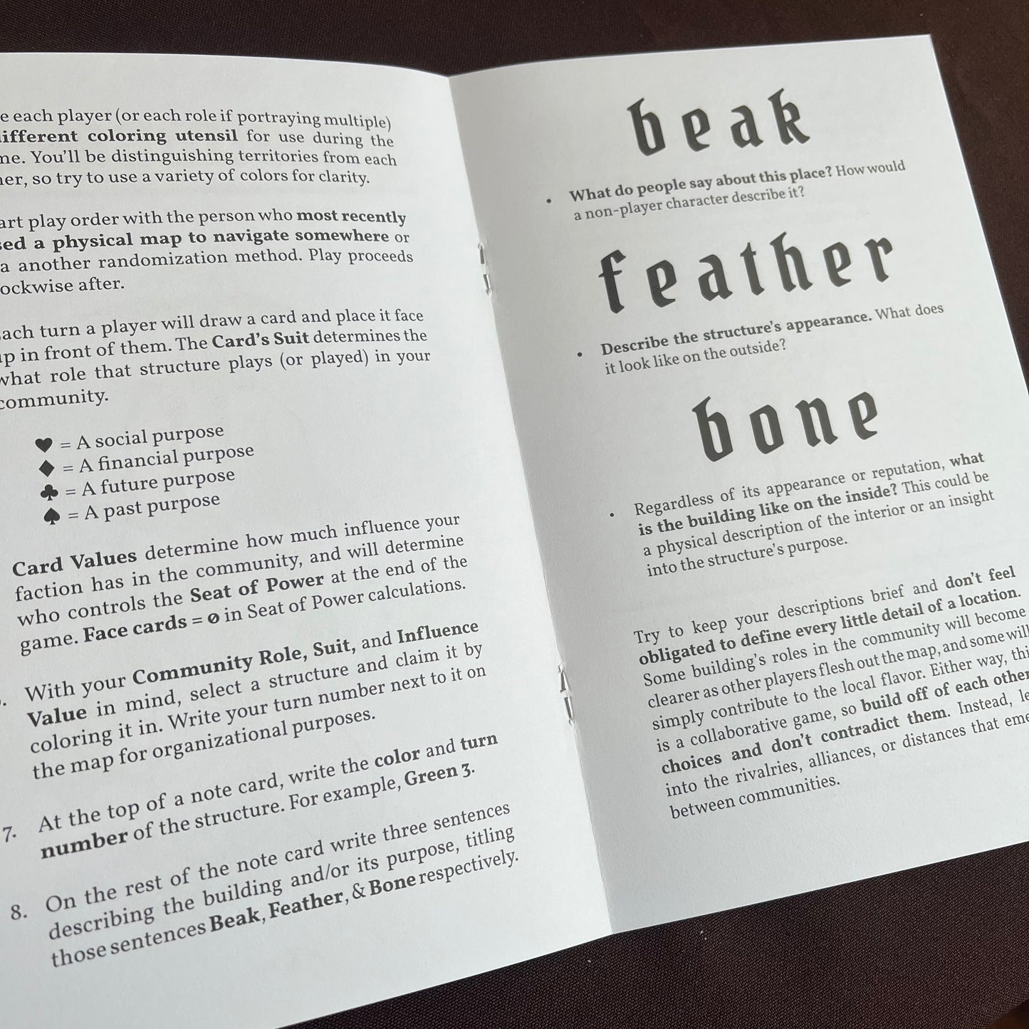 Beak, Feather, and Bone