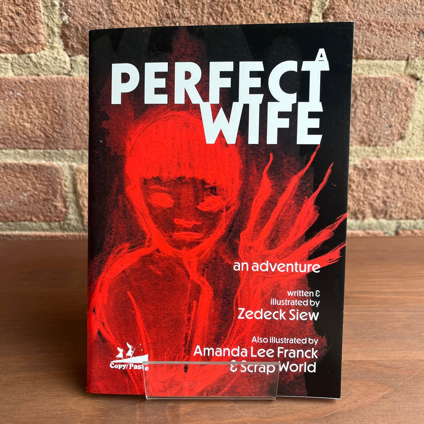 A Perfect Wife