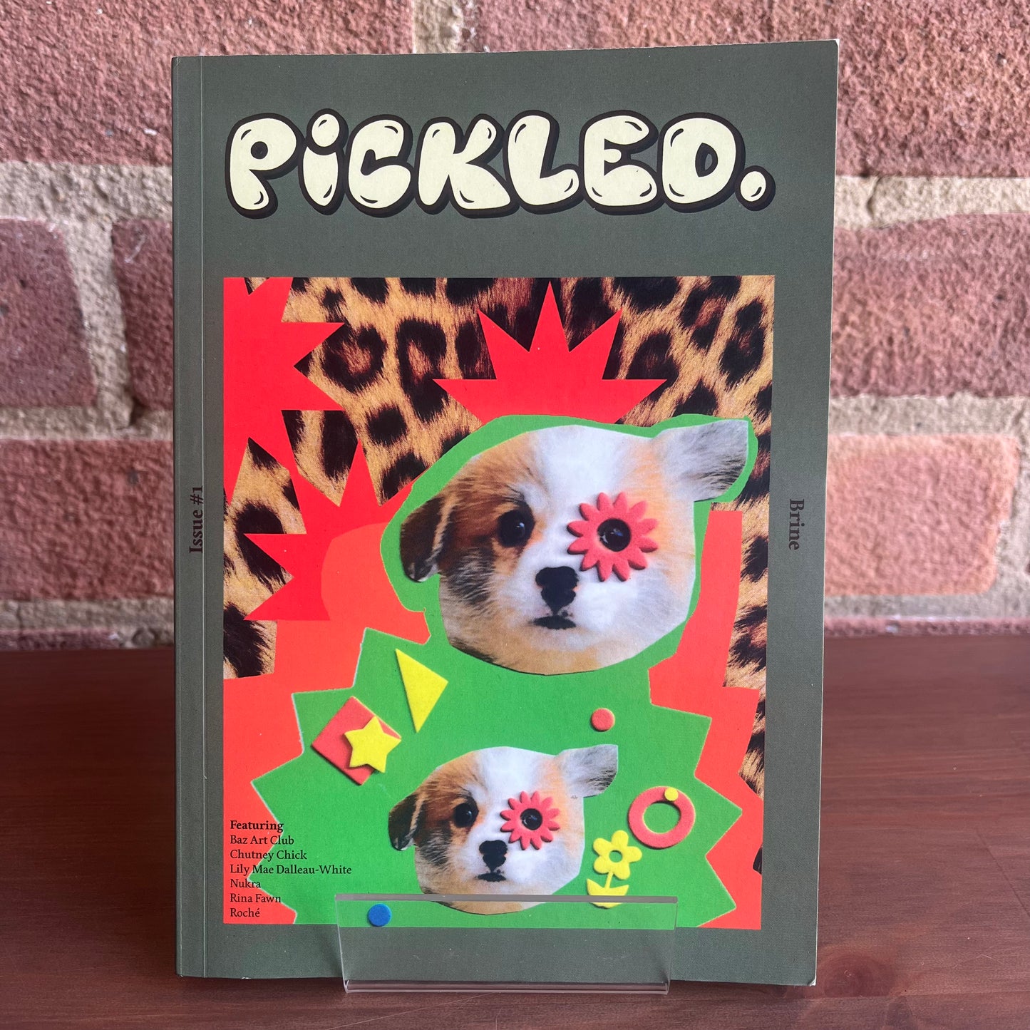 Pickled Magazine Issue #1: Brine